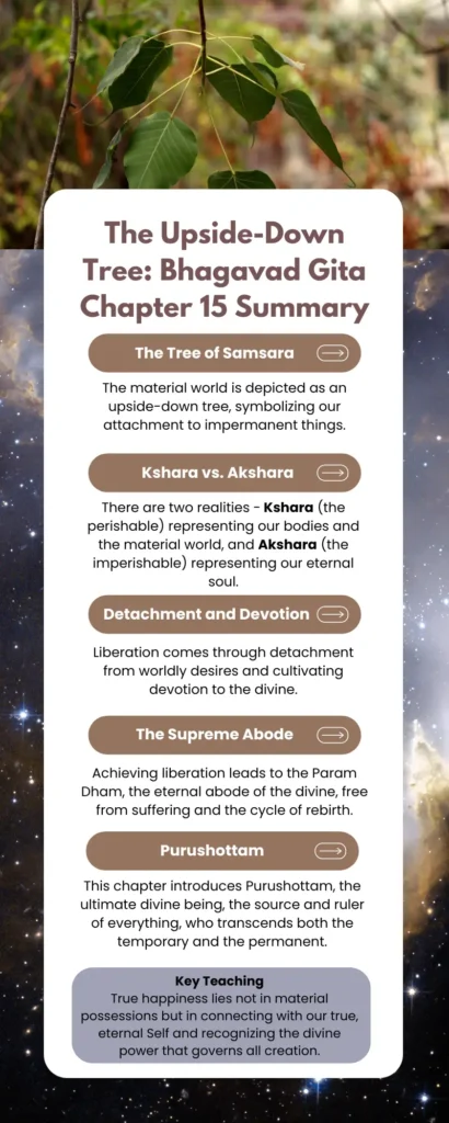 Bhagavad Gita Chapter 15 Summary infographic